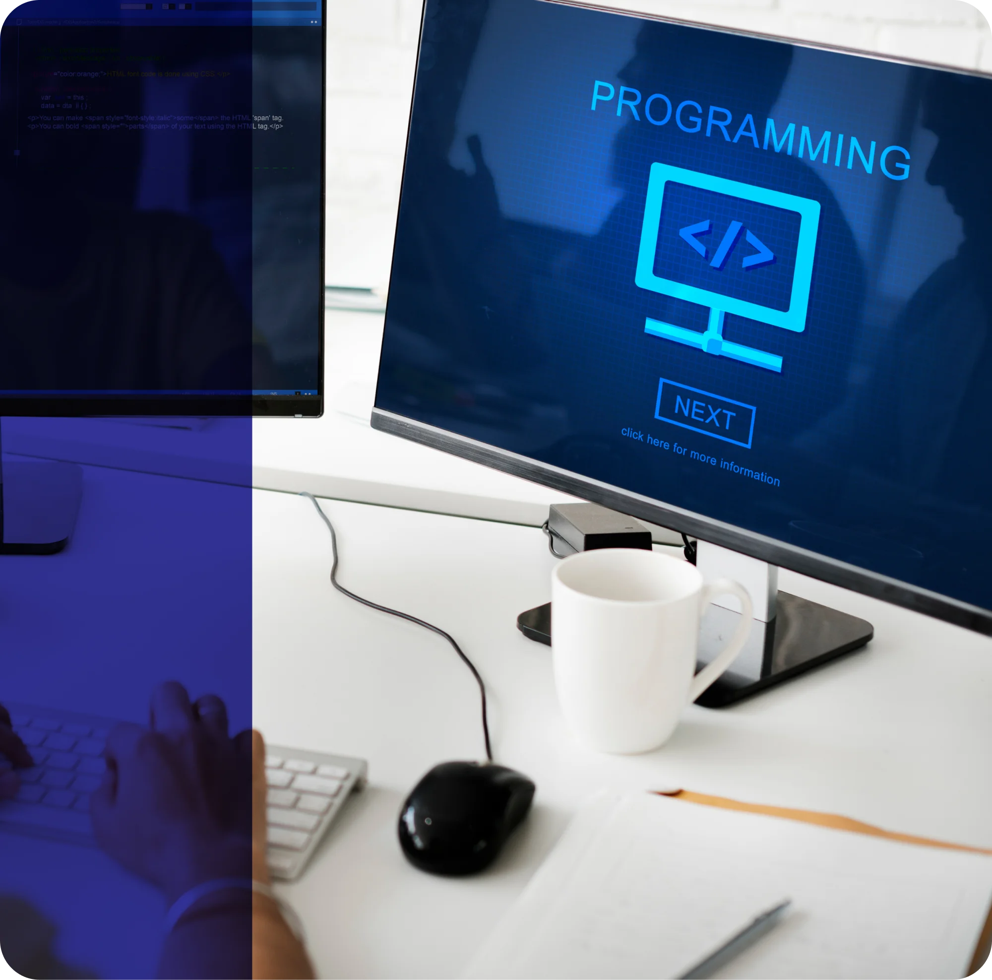 Developer writing code and managing website infrastructure to drive full-scale business expansion.