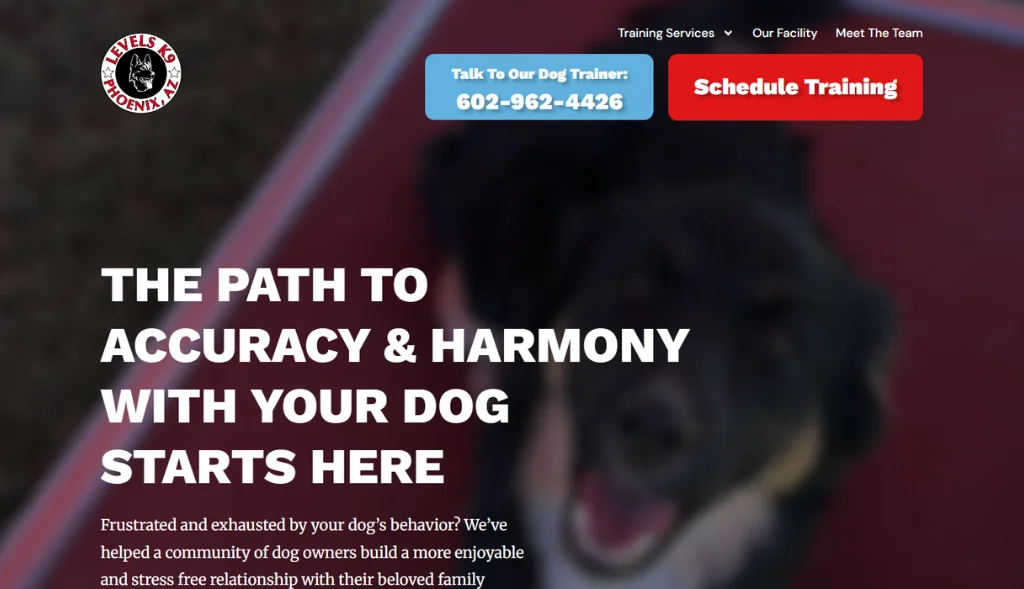 Levels K9 Dog Training